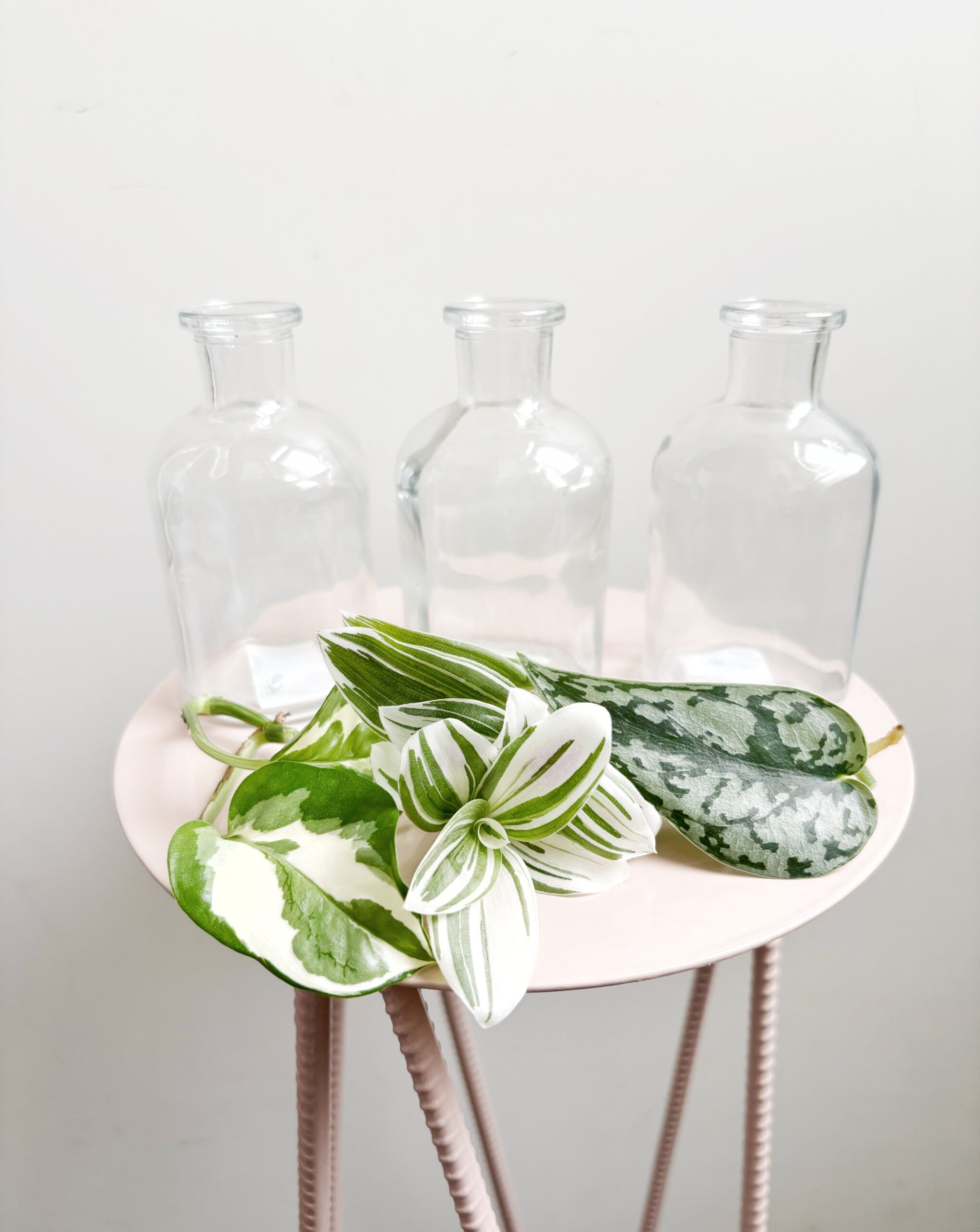 Starterset doorzichtig (3)