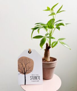 Geschenkset 'een beetje extra geluk'